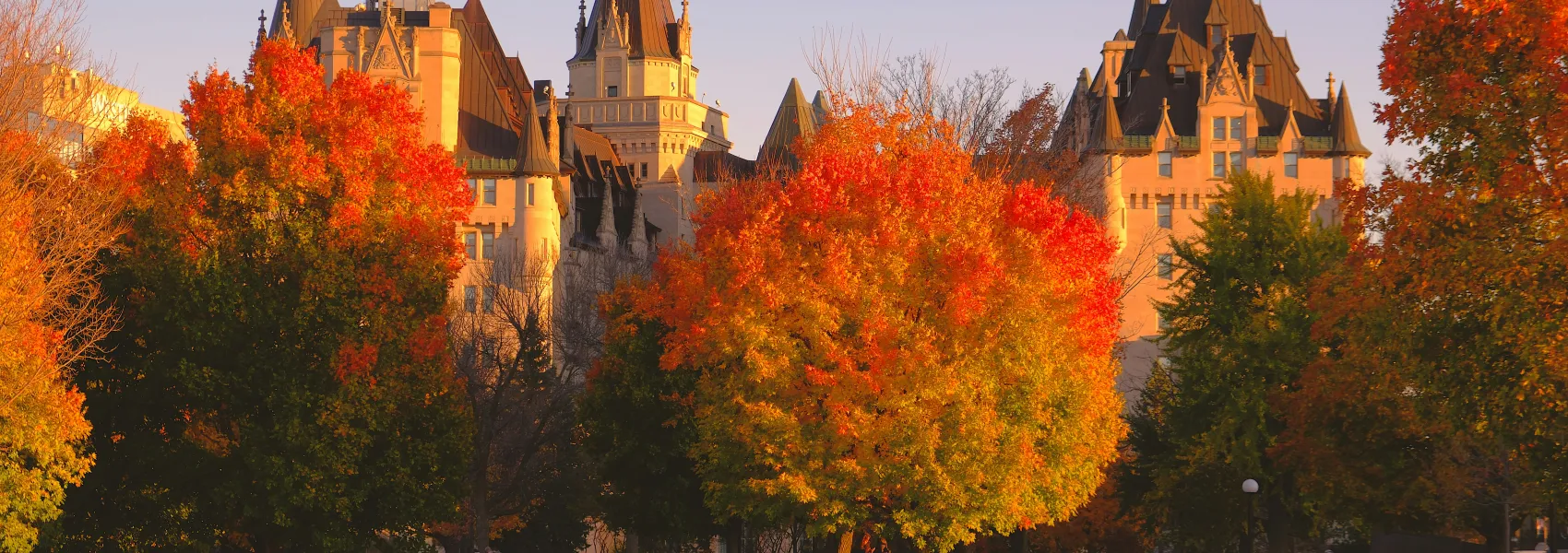 Photo by ODD& on Unsplash